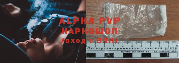 спиды Кукмор
