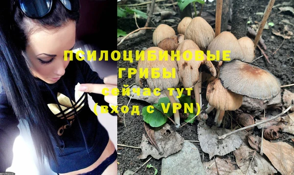 спиды Кукмор
