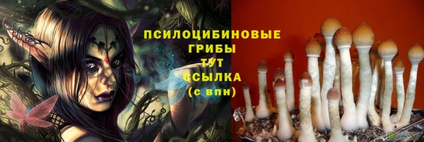 винт Лабытнанги