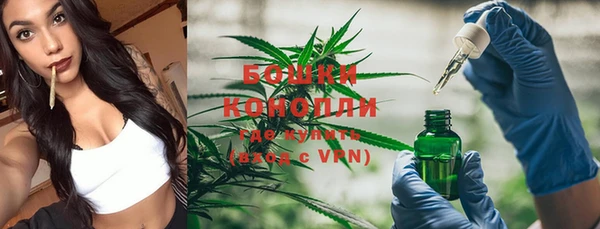 спиды Кукмор
